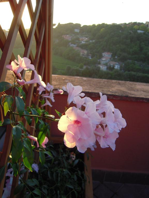 Casa Vacanze Palazzo Primoli Аричча Экстерьер фото